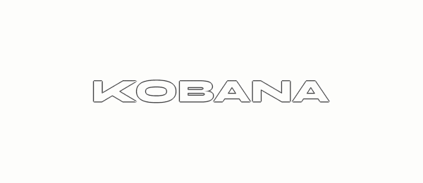 Não use o logotipo em outline